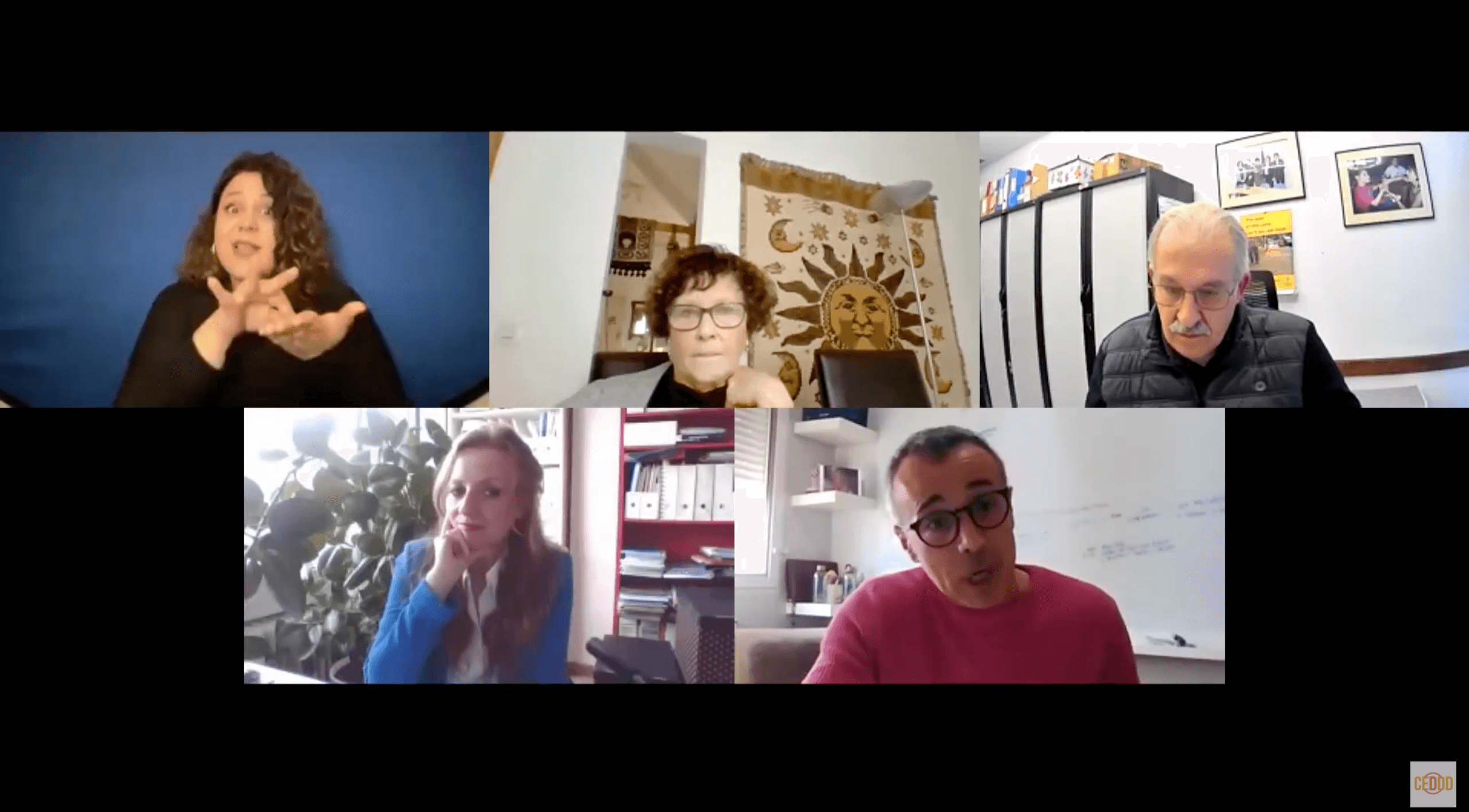 Última jornada visualfy